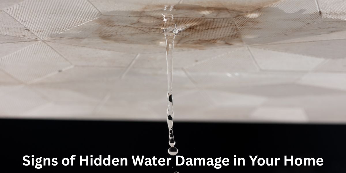 1773911360_Signs of Hidden Water Damage in Your Home.jpg